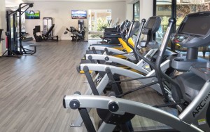 knox heights fitness